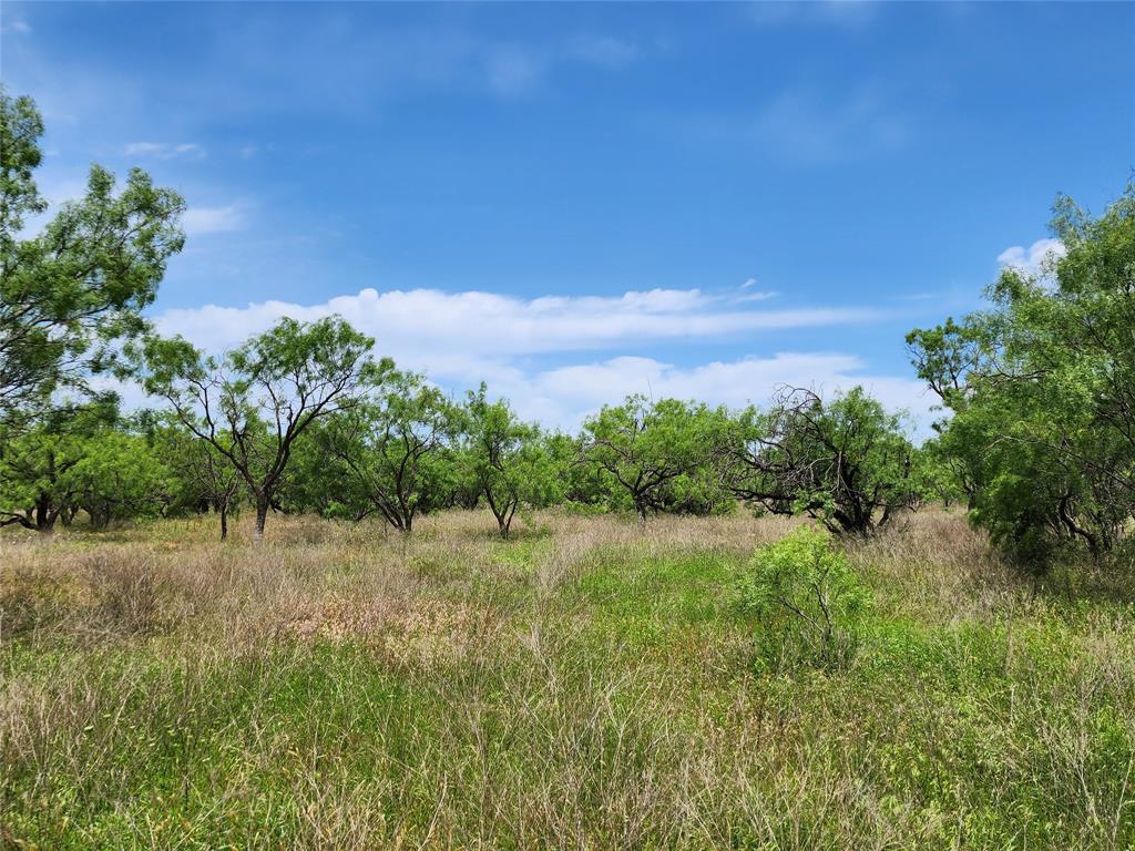 Tbd County Road 125 Property Photo 11