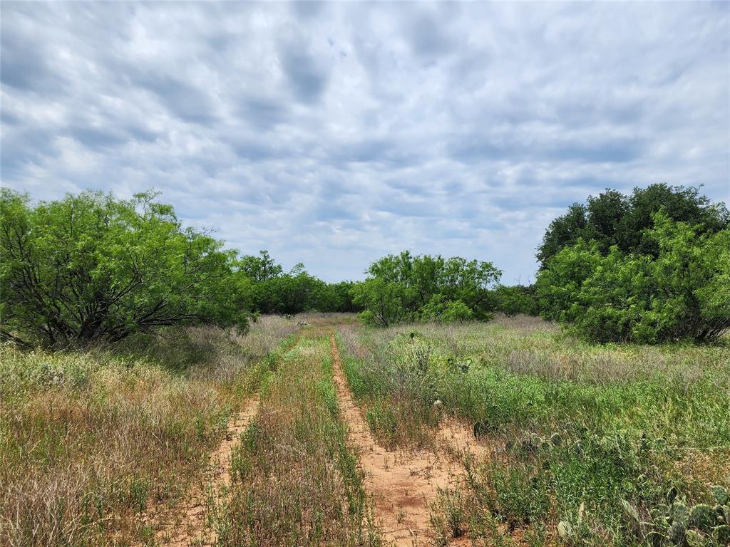 Tbd County Road 125 Property Photo 12