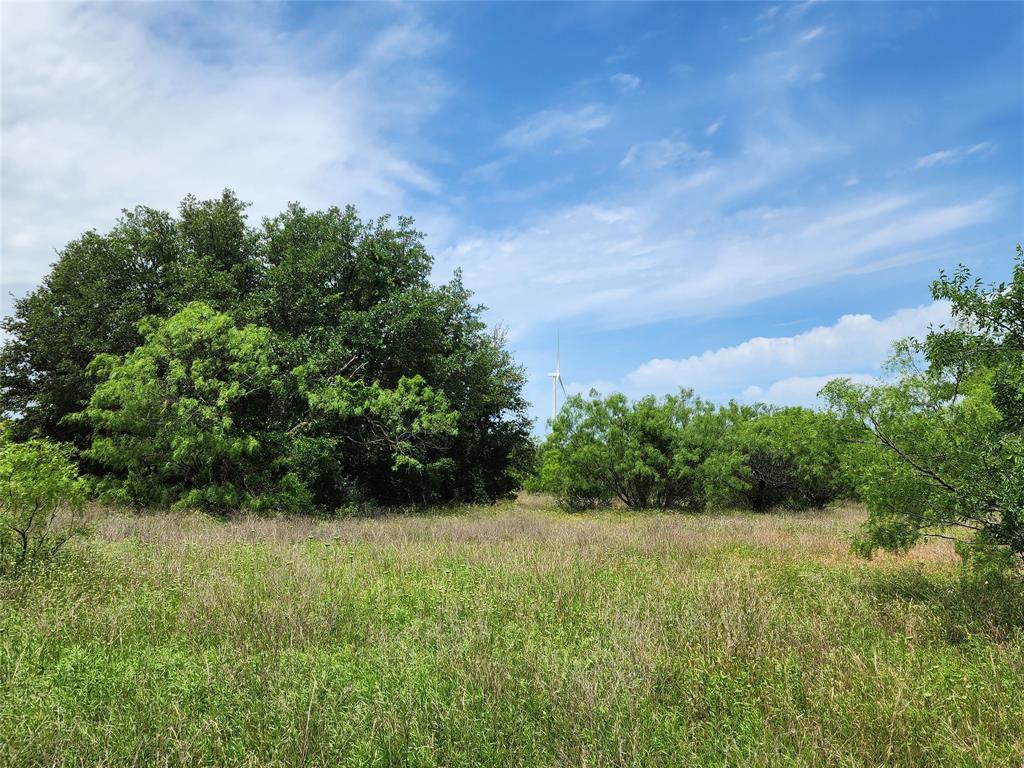 Tbd County Road 125 Property Photo 13