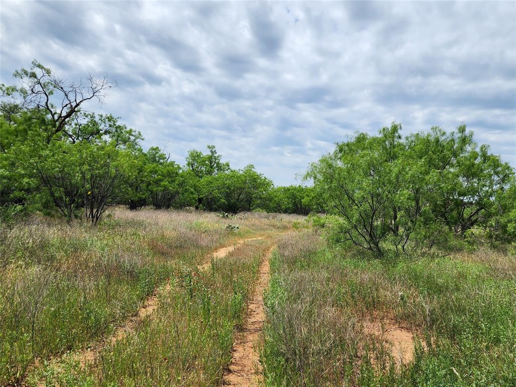 Tbd County Road 125 Property Photo 14