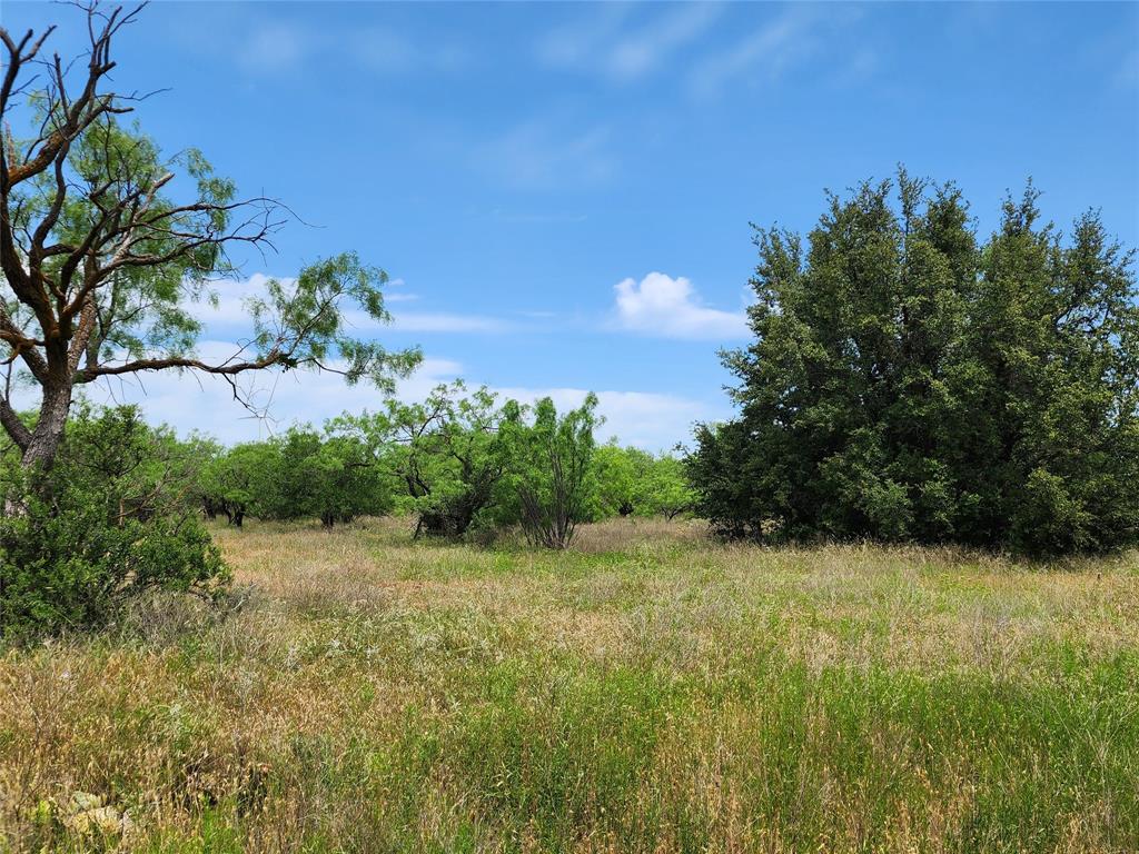 Tbd County Road 125 Property Photo 15