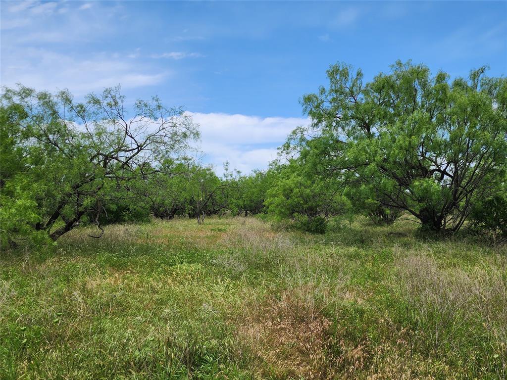 Tbd County Road 125 Property Photo 16