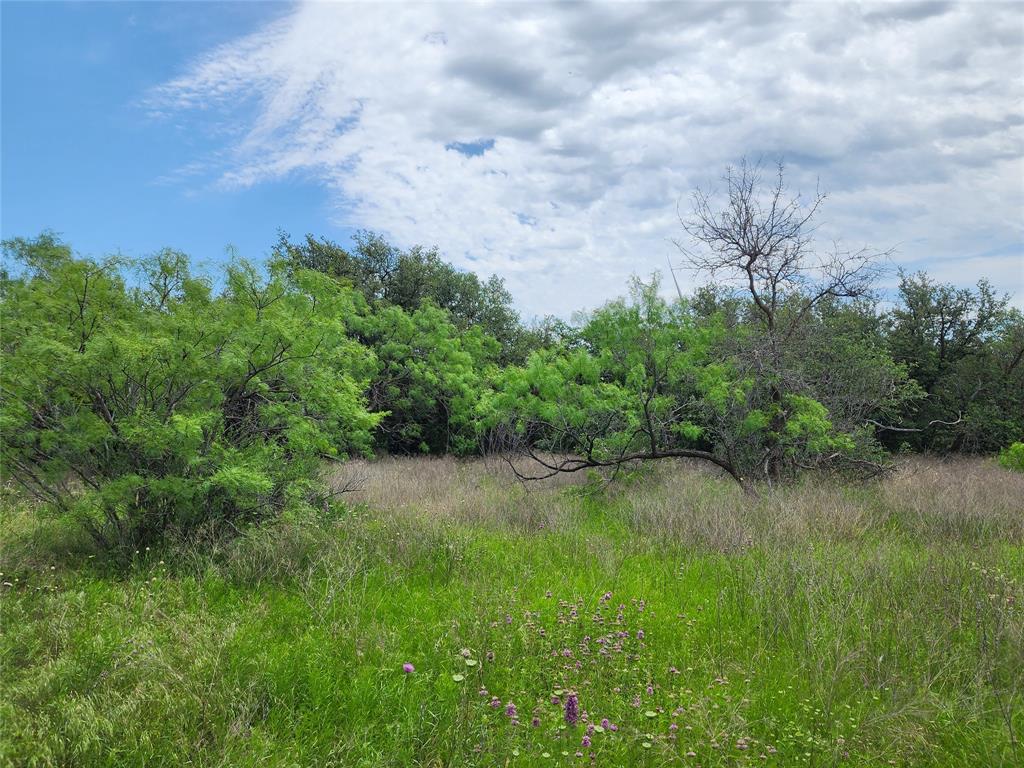 Tbd County Road 125 Property Photo 17
