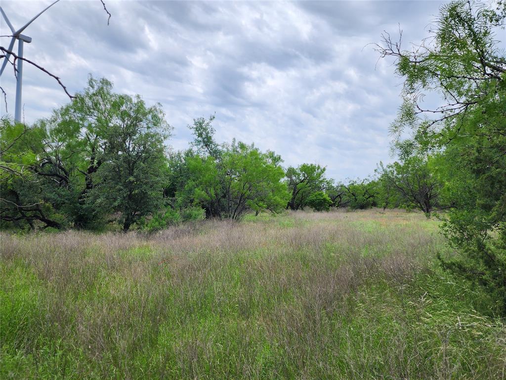 Tbd County Road 125 Property Photo 18