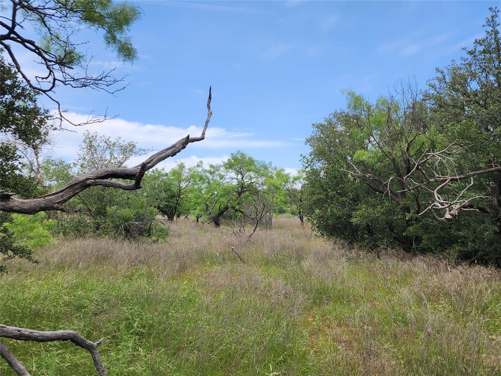 Tbd County Road 125 Property Photo 19