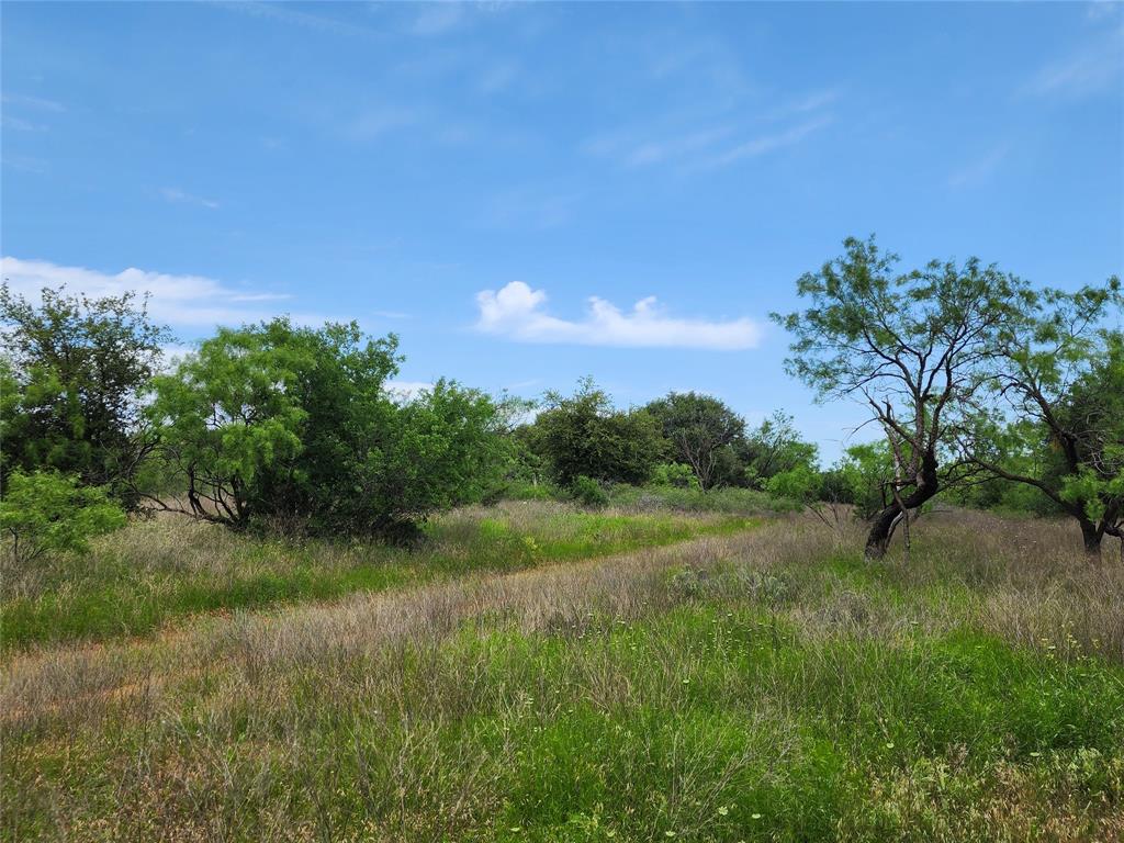 Tbd County Road 125 Property Photo 20