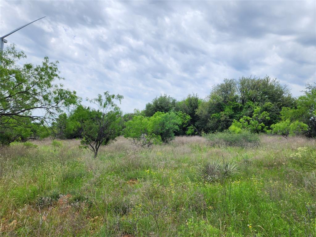 Tbd County Road 125 Property Photo 21