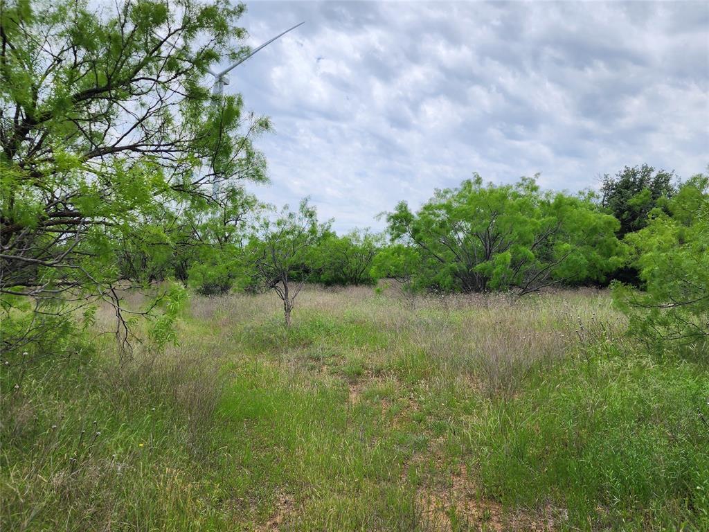 Tbd County Road 125 Property Photo 22