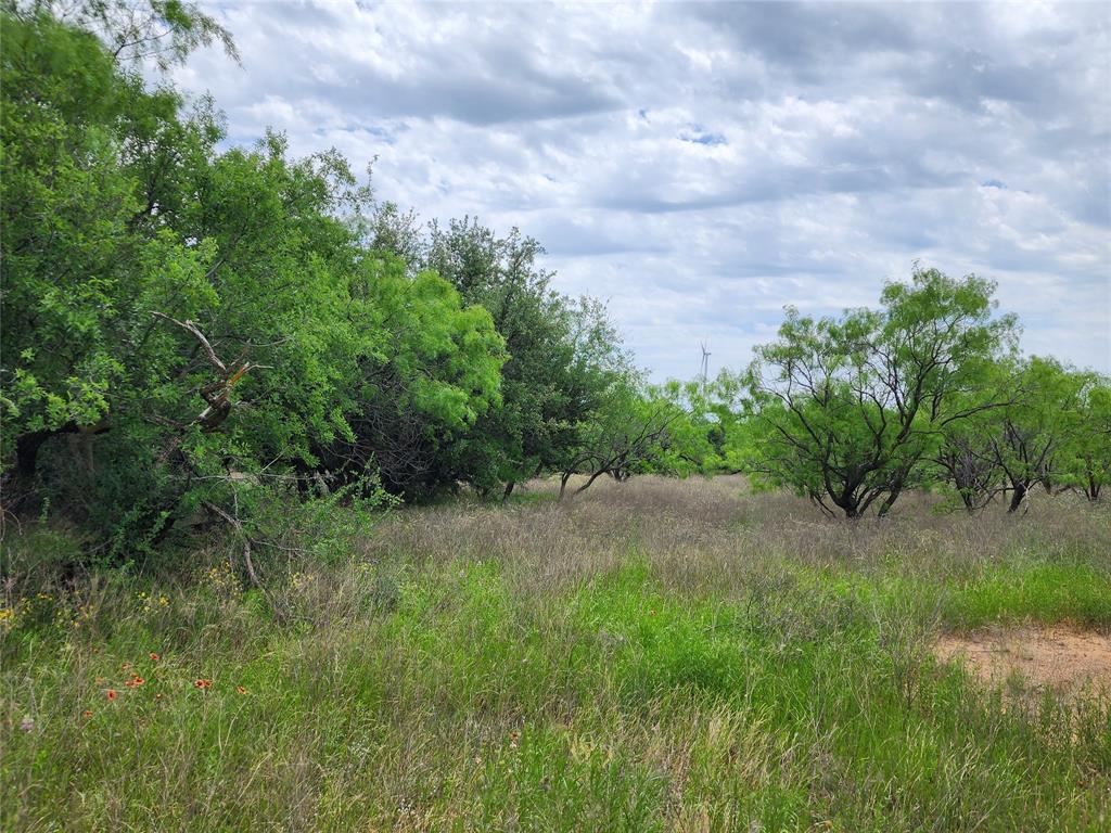 Tbd County Road 125 Property Photo 23