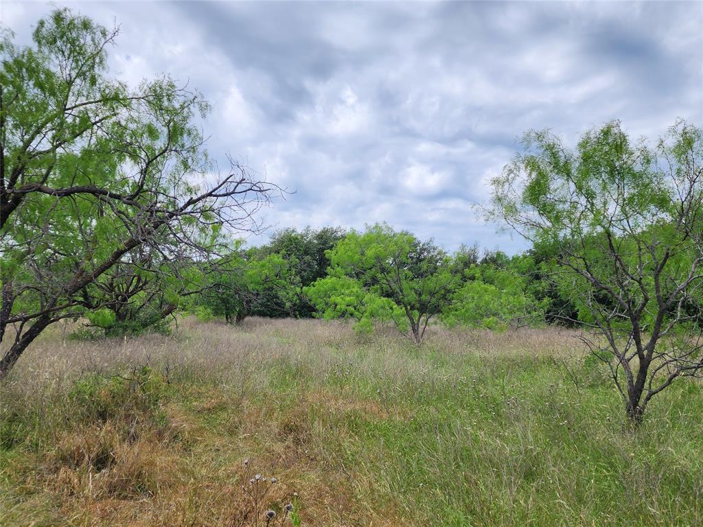 Tbd County Road 125 Property Photo 24