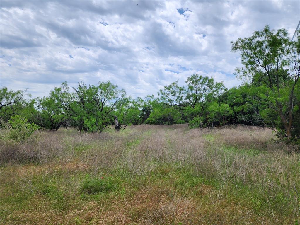 Tbd County Road 125 Property Photo 25