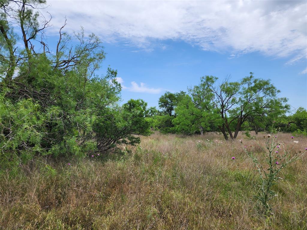 Tbd County Road 125 Property Photo 26
