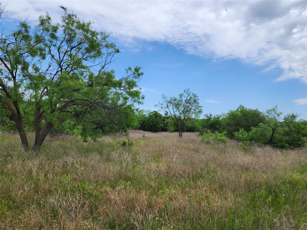 Tbd County Road 125 Property Photo 27