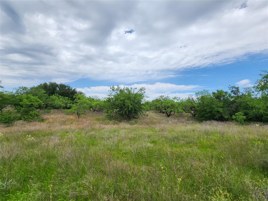 Tbd County Road 125 Property Photo 28