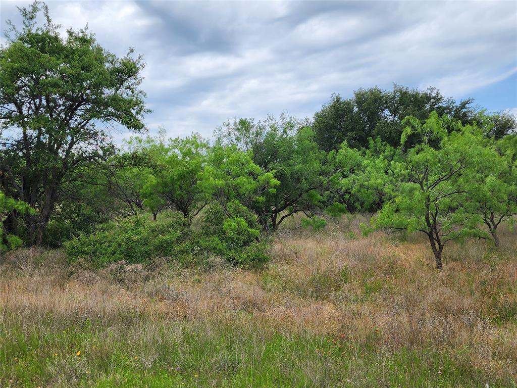 Tbd County Road 125 Property Photo 29
