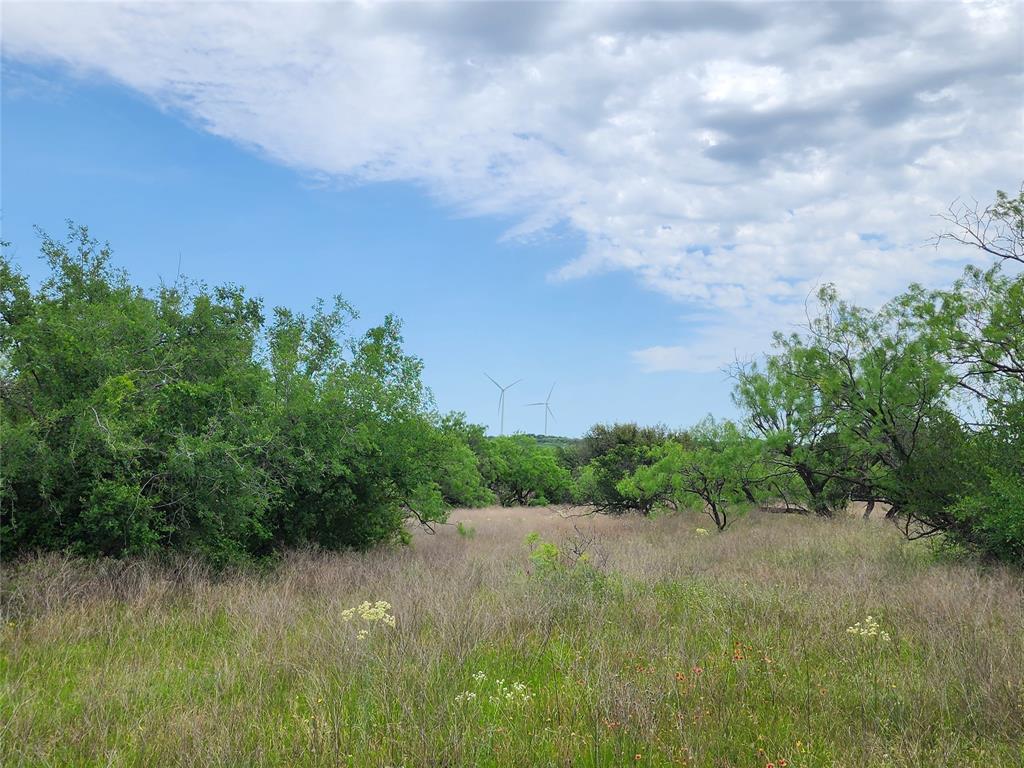 Tbd County Road 125 Property Photo 30