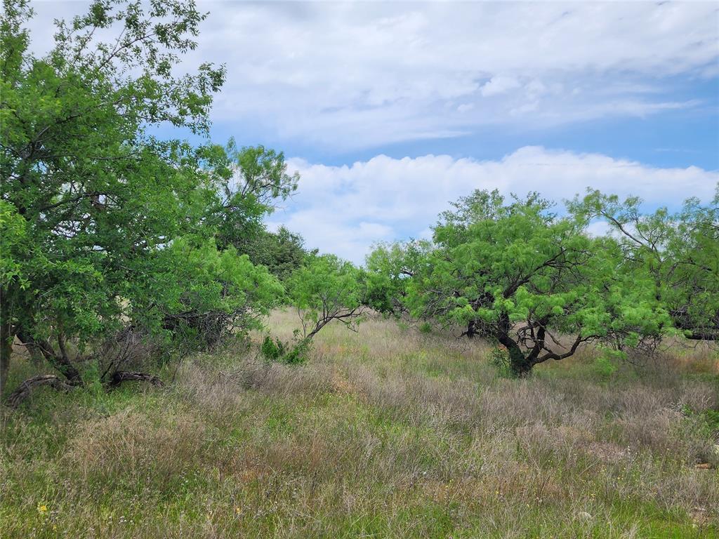 Tbd County Road 125 Property Photo 31
