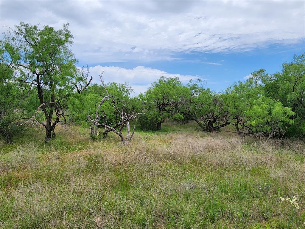 Tbd County Road 125 Property Photo 32