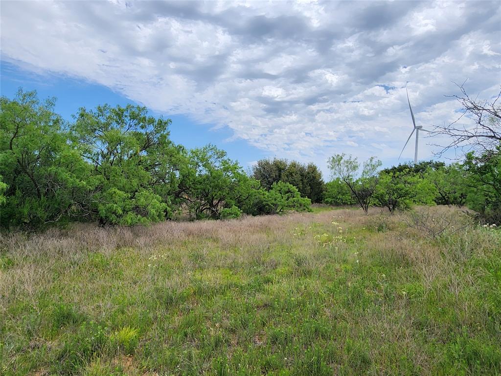 Tbd County Road 125 Property Photo 33
