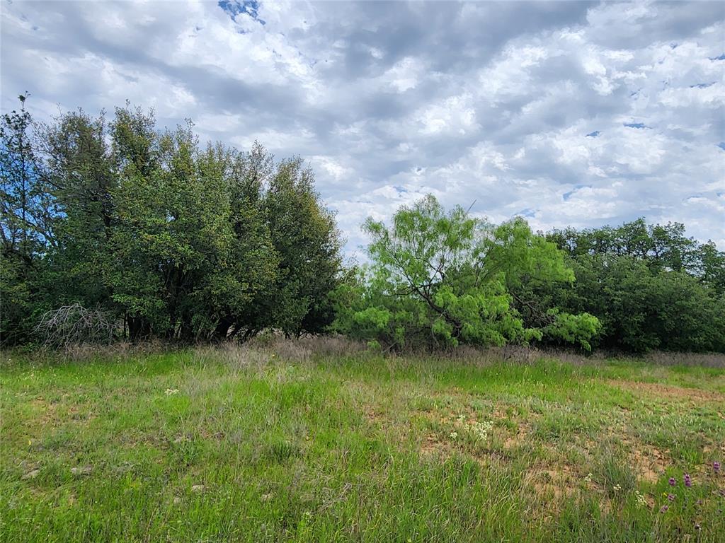 Tbd County Road 125 Property Photo 34