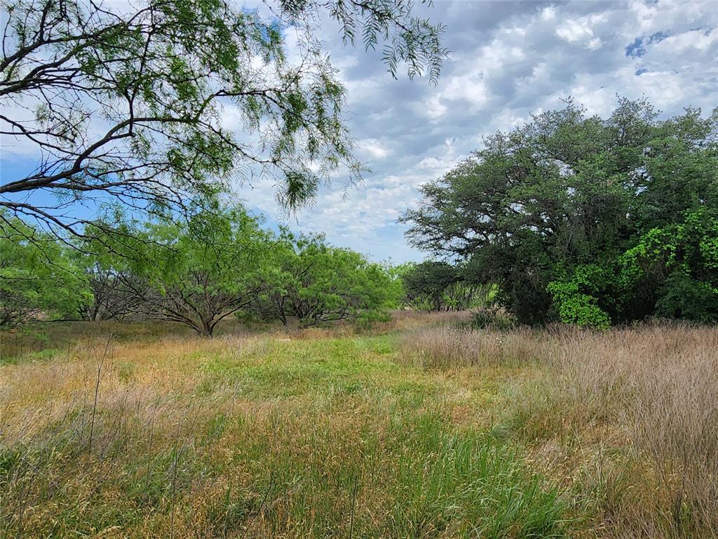 Tbd County Road 125 Property Photo 35