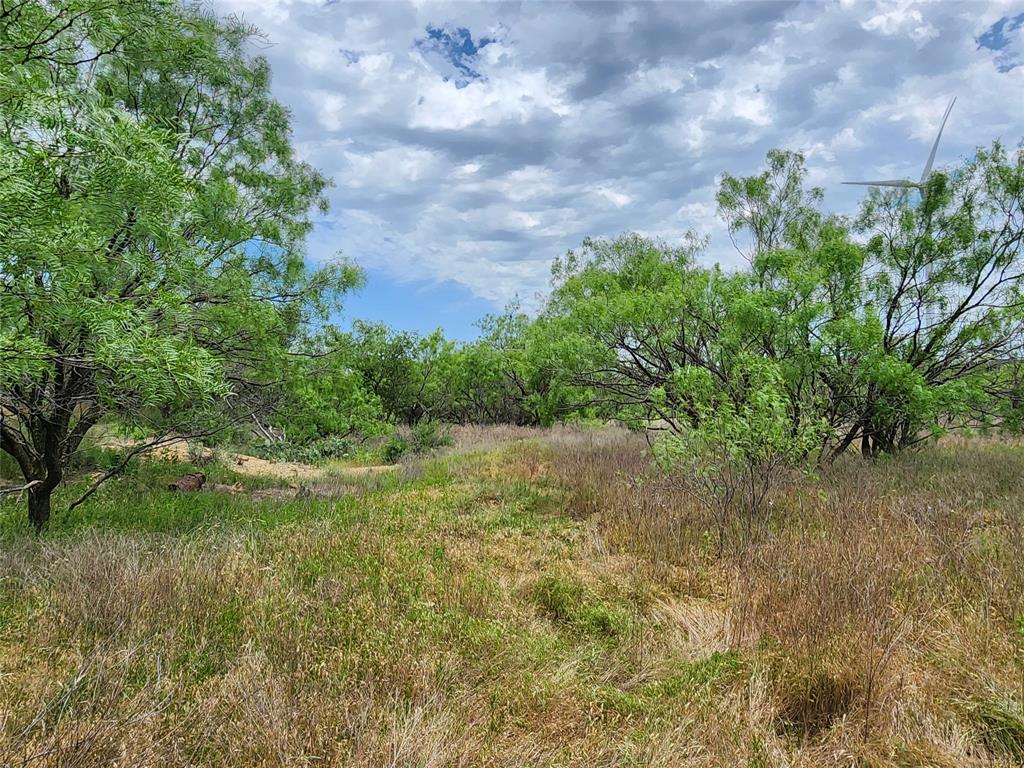 Tbd County Road 125 Property Photo 36