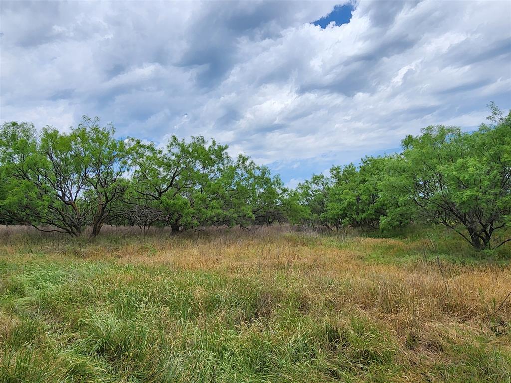 Tbd County Road 125 Property Photo 37