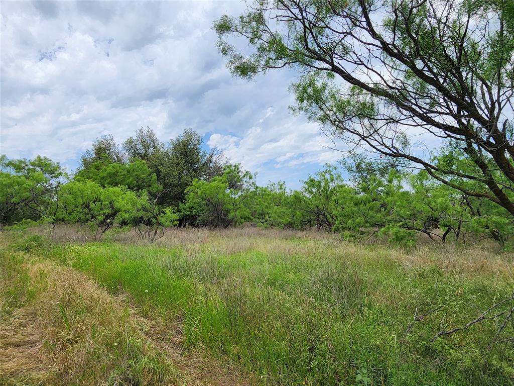 Tbd County Road 125 Property Photo 38