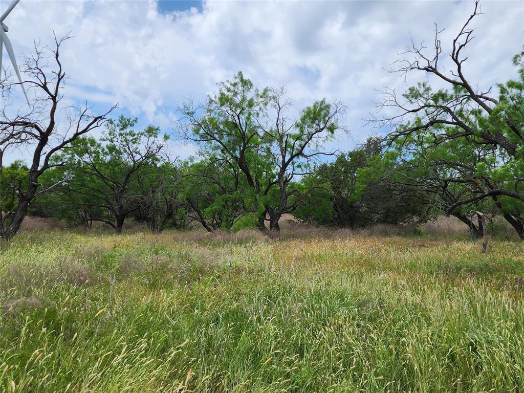 Tbd County Road 125 Property Photo 39
