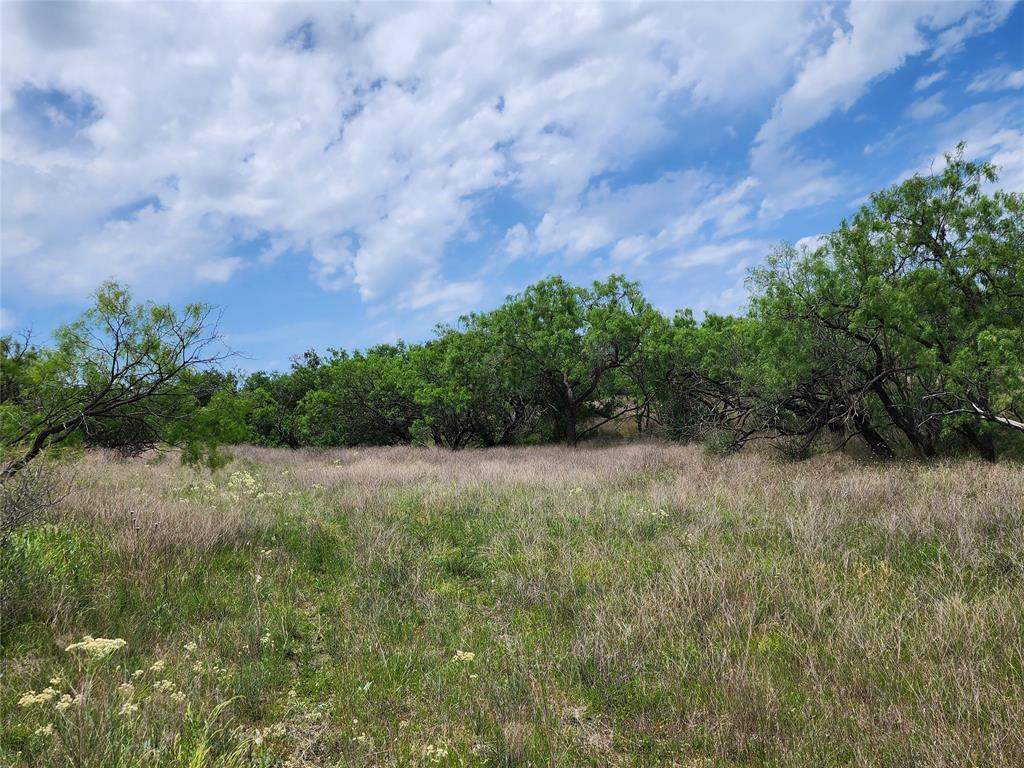Tbd County Road 125 Property Photo 40