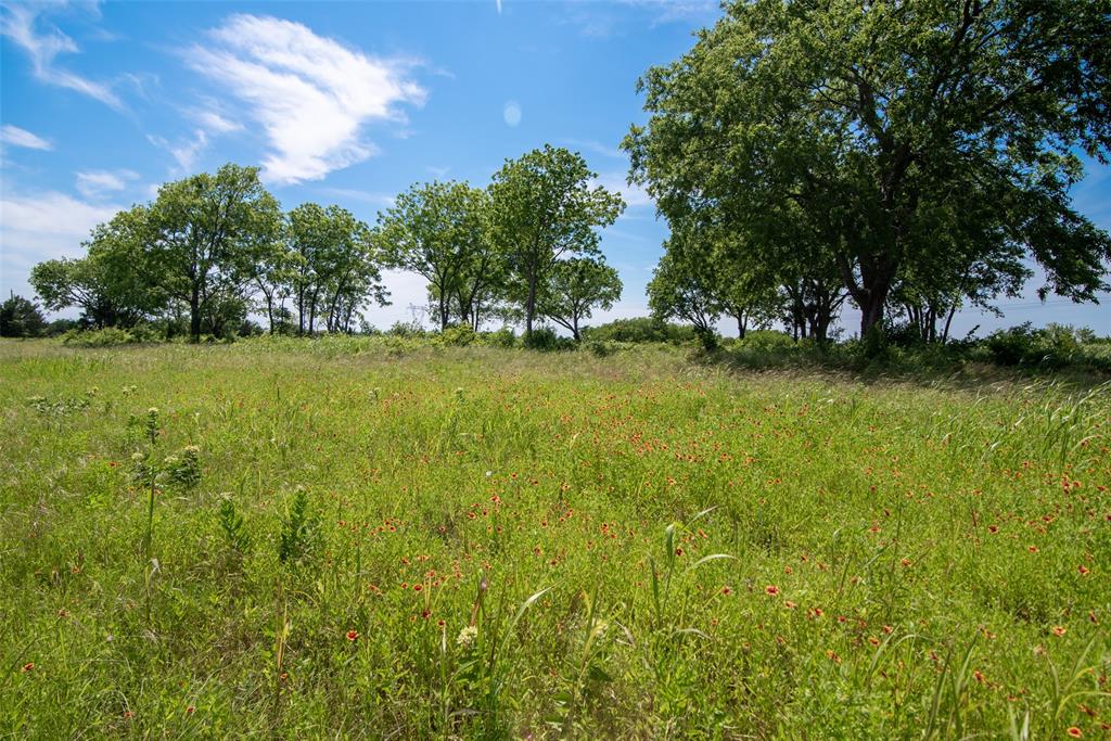 Acres 31.062 Ballard Road Property Photo 8
