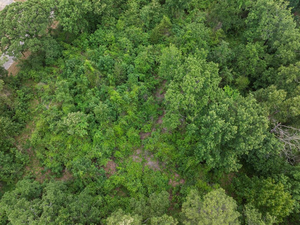Lot R8 Big Pine Estates Property Photo 6