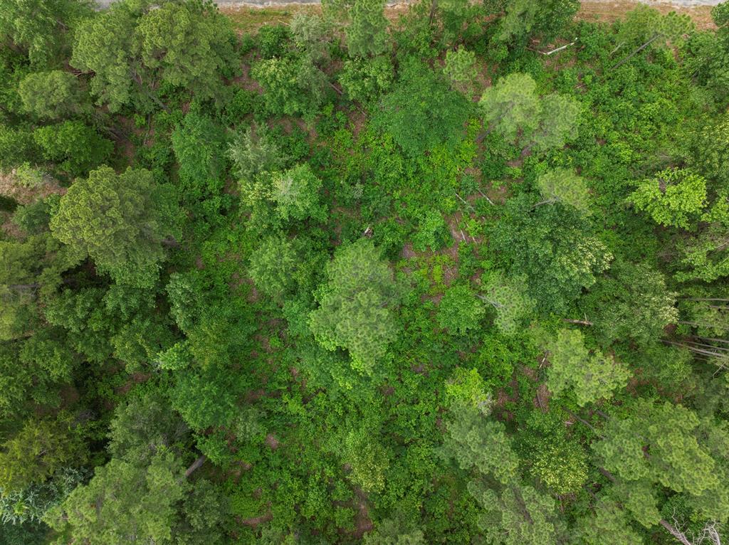 Lot R8 Big Pine Estates Property Photo 8