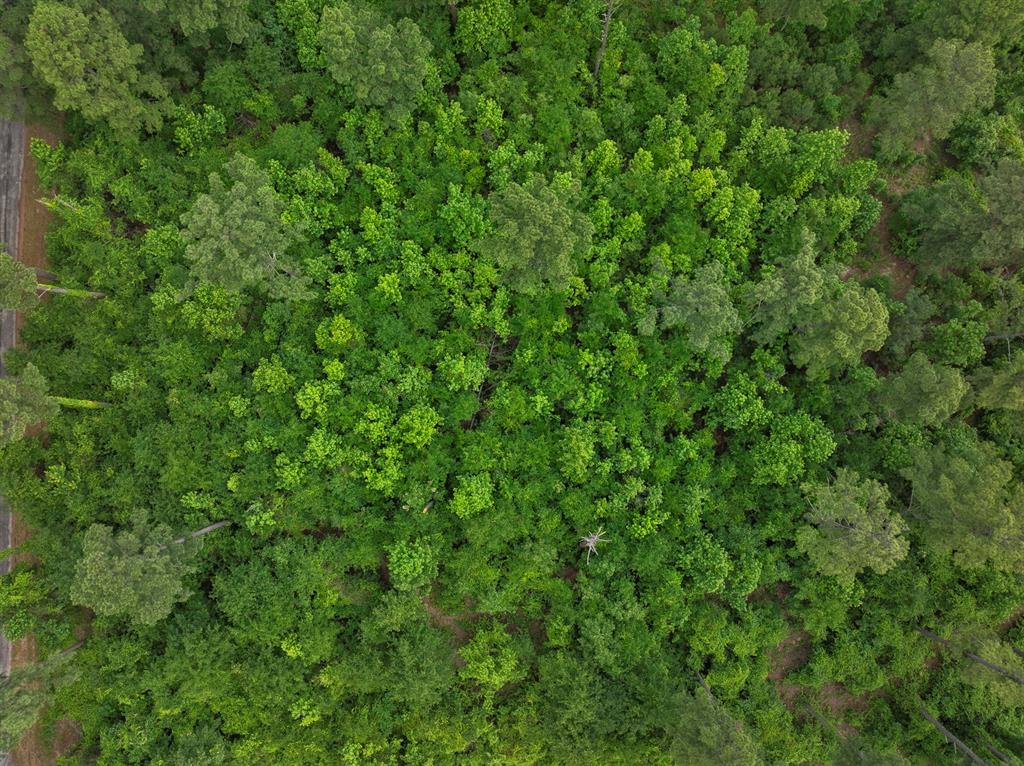 Lot R8 Big Pine Estates Property Photo 12