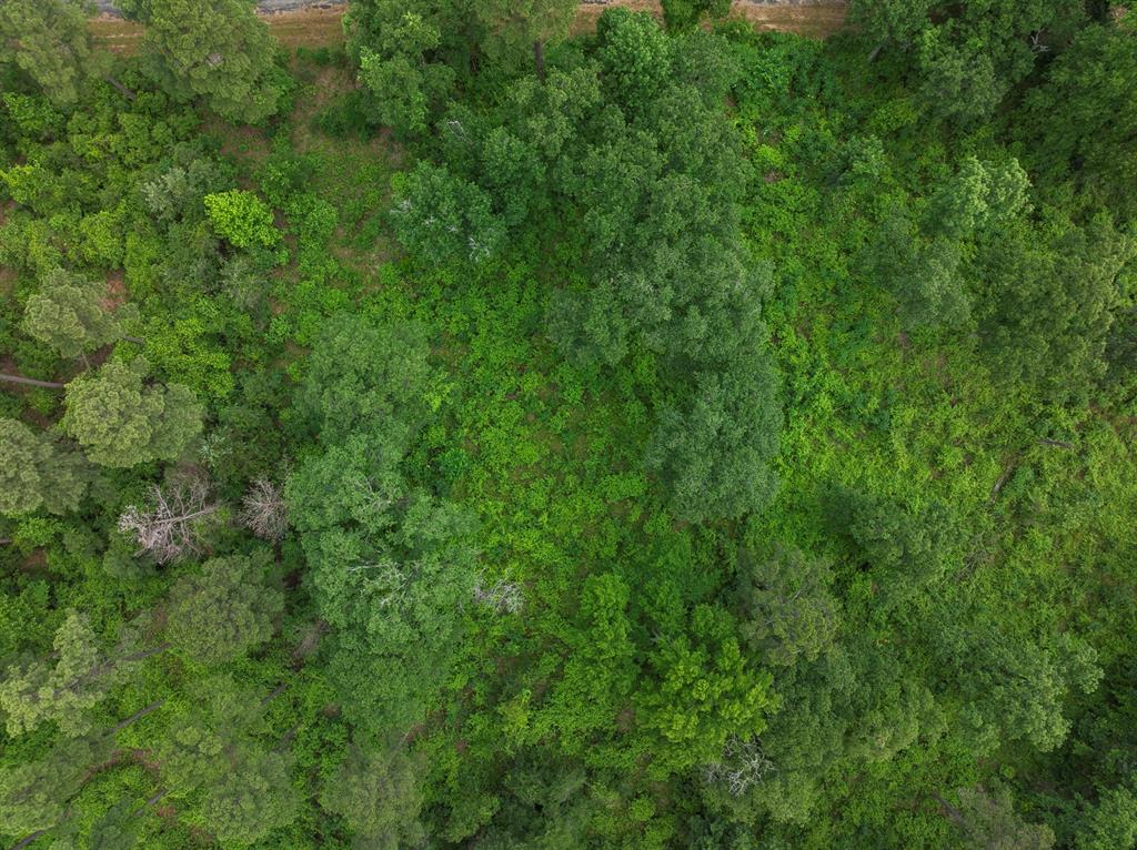 Lot R8 Big Pine Estates Property Photo 13