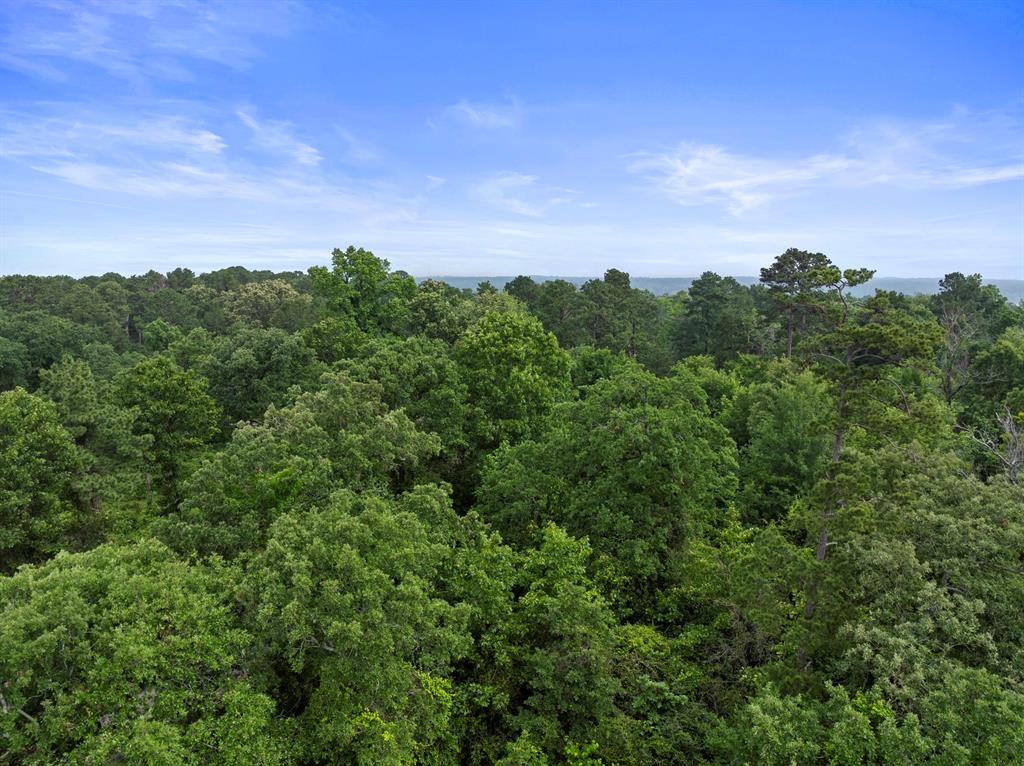 Lot R8 Big Pine Estates Property Photo 18