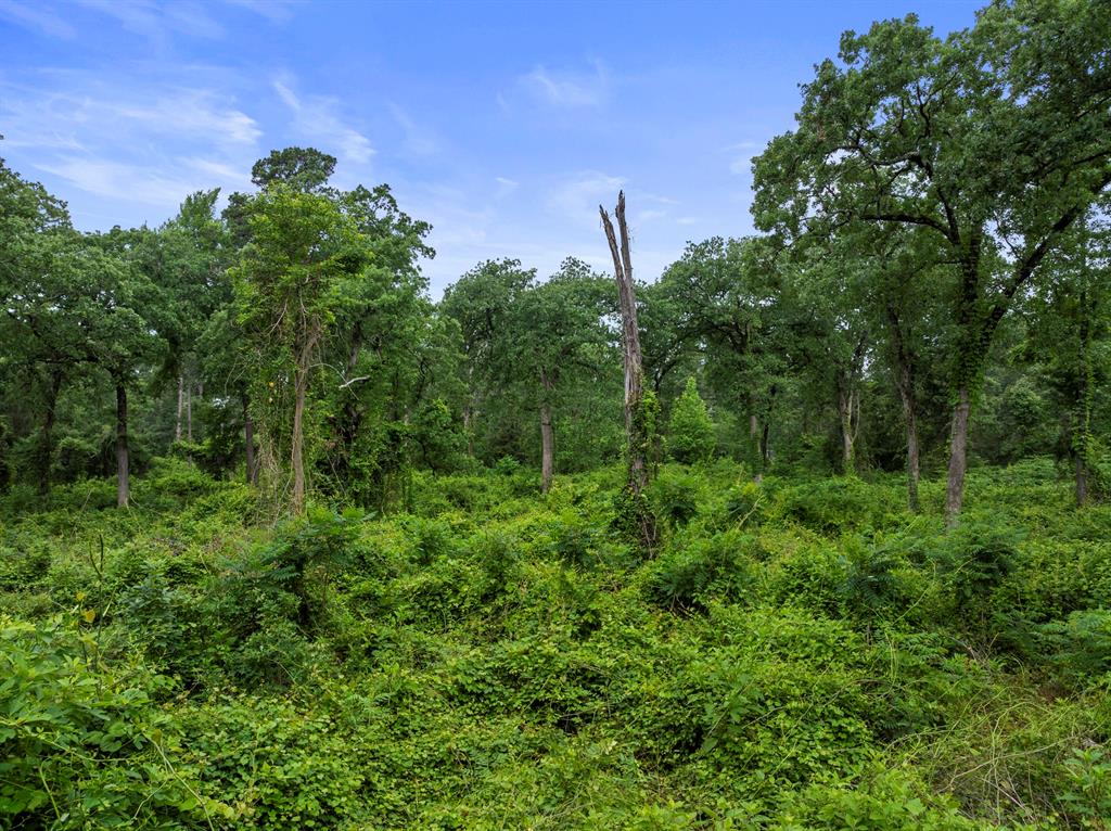 Lot R8 Big Pine Estates Property Photo 21