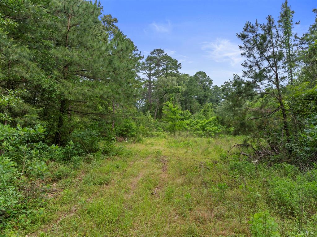 Lot R8 Big Pine Estates Property Photo 23