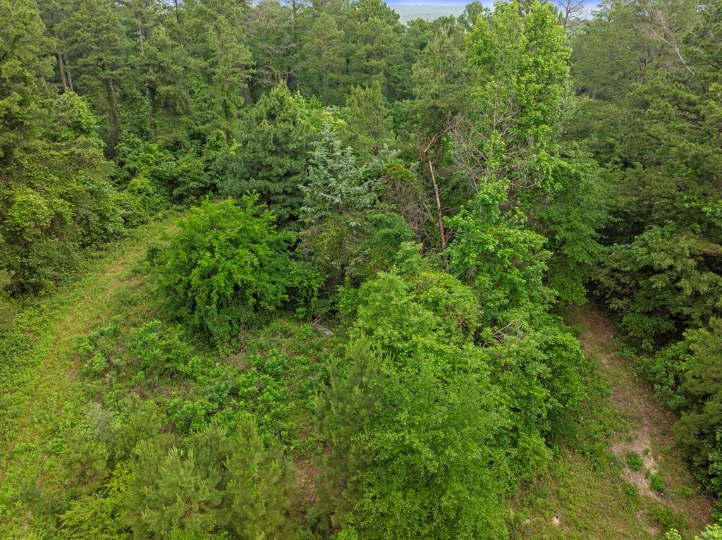 Lot R8 Big Pine Estates Property Photo 24