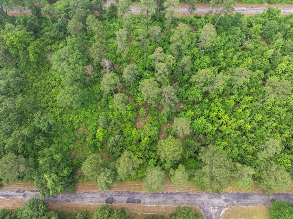 Lot R8 Big Pine Estates Property Photo 28