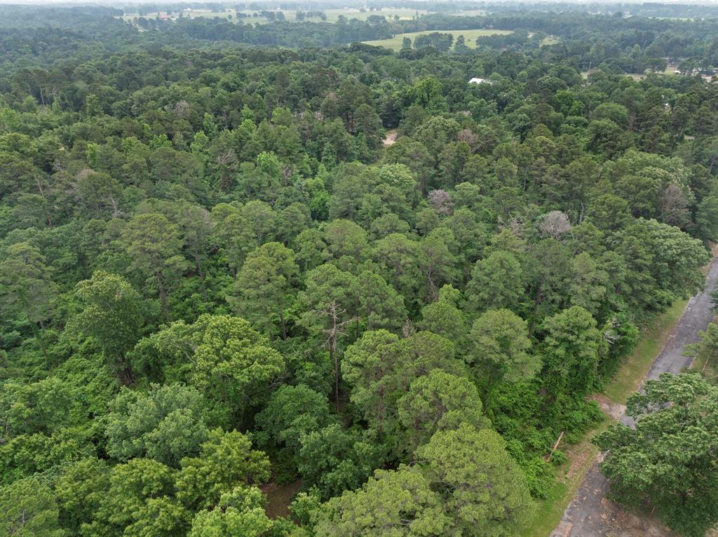 Lot R8 Big Pine Estates Property Photo 30