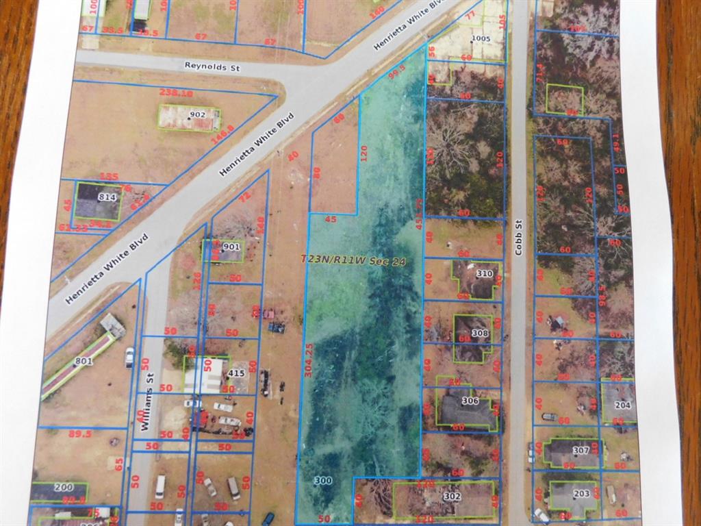 0 Henrietta White Boulevard Property Photo