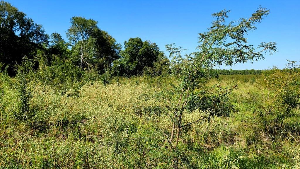 0 County Road 4612 Property Photo 4