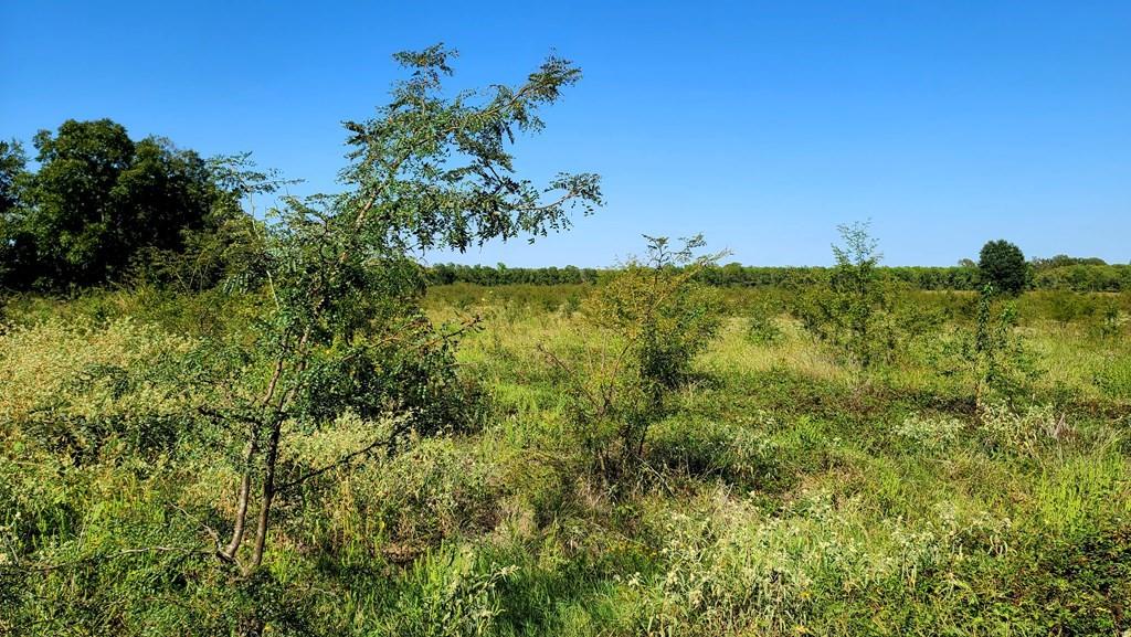 0 County Road 4612 Property Photo 6