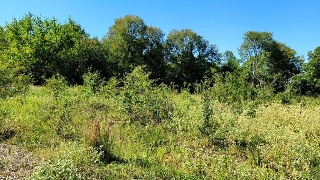 0 County Road 4612 Property Photo 7