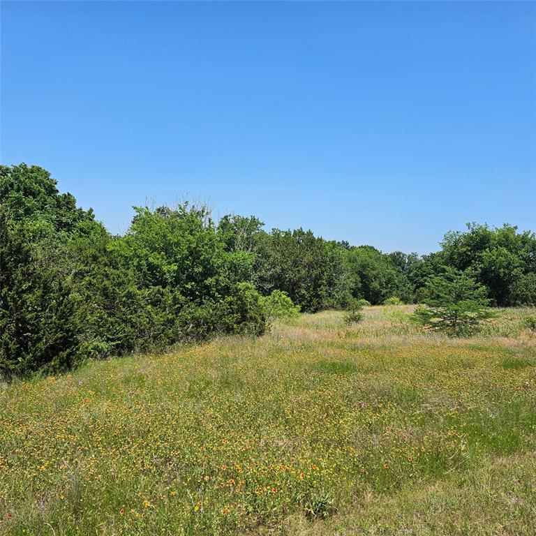 1441 Lakeside Trail Property Photo 3