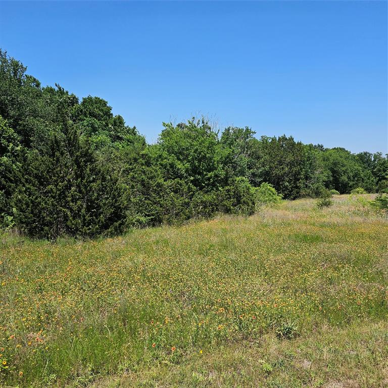 1441 Lakeside Trail Property Photo 4