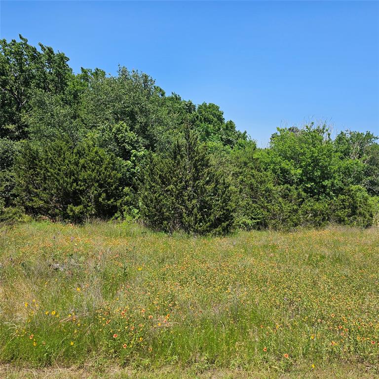 1441 Lakeside Trail Property Photo 5