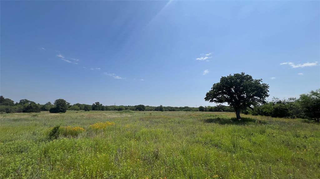 1096 County Road 125 Property Photo 4