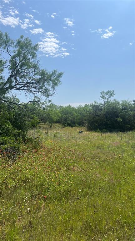 1096 County Road 125 Property Photo 16